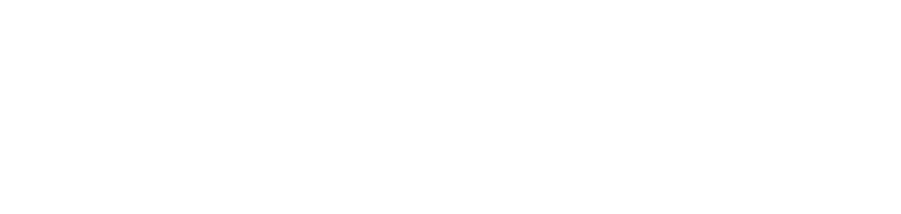 Messerschmidt & Partner